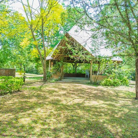 Meru Mbega Lodge Usa River Εξωτερικό φωτογραφία