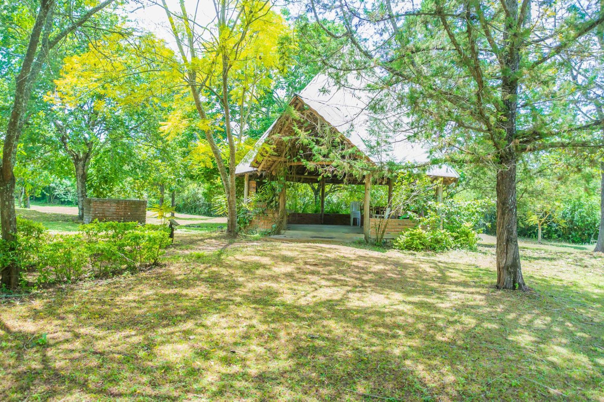 Meru Mbega Lodge Usa River Εξωτερικό φωτογραφία