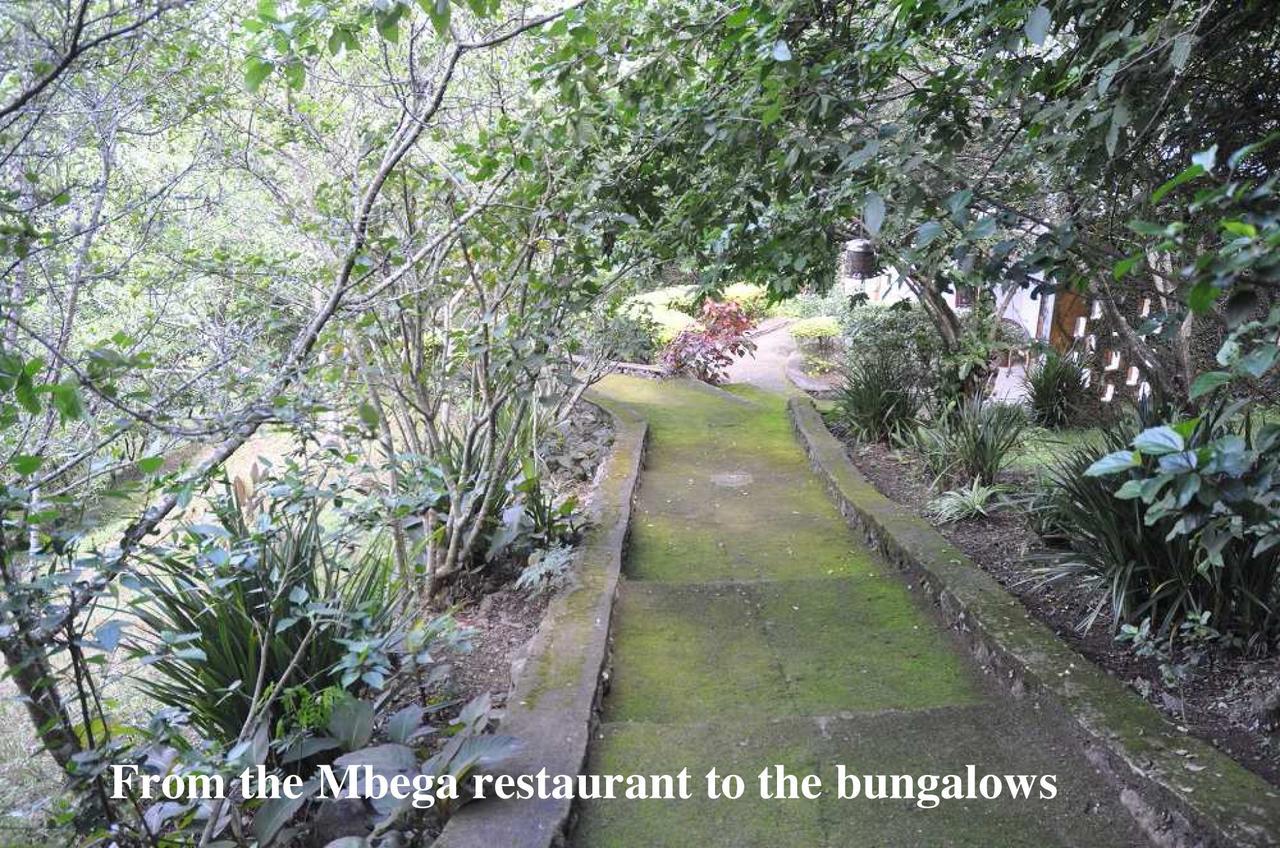 Meru Mbega Lodge Usa River Εξωτερικό φωτογραφία